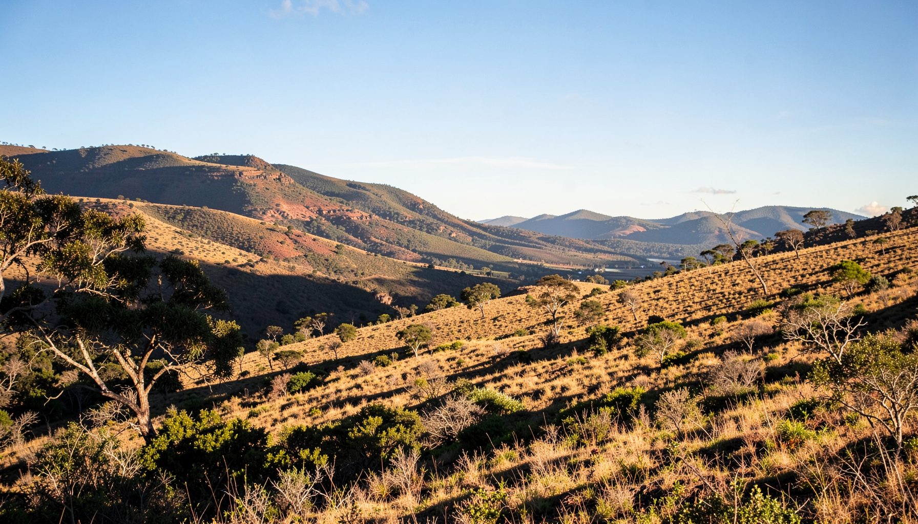 A sunlit South African landscape with rolling hills and open sky, conveying reflection and contemplation